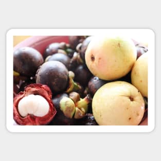 Exotic Fruit Mangosteen up close Sticker